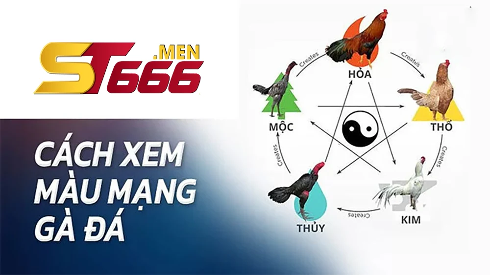 Phân loại theo ngũ hành phong thủy
