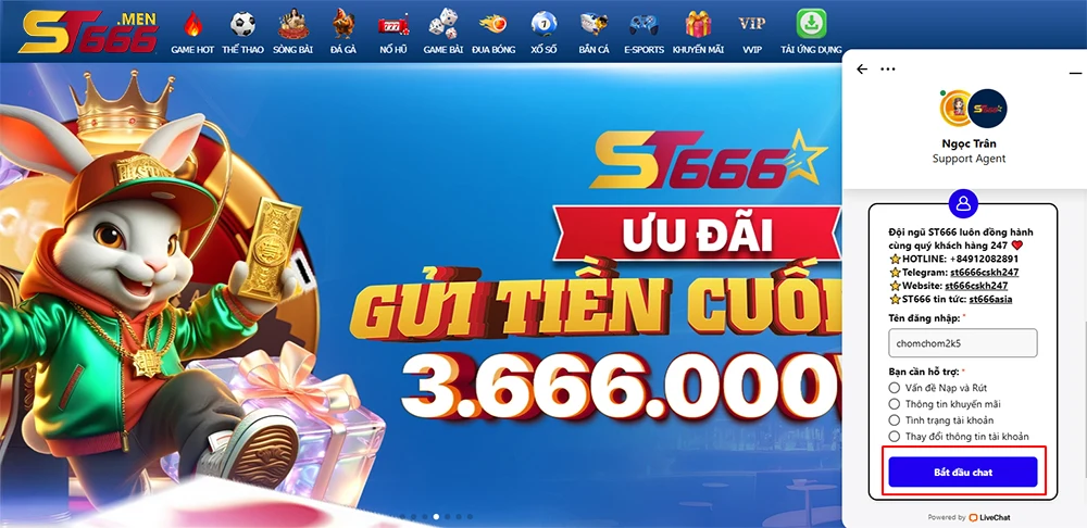 Liên hệ với bộ phận hỗ trợ khách hàng của ST666.