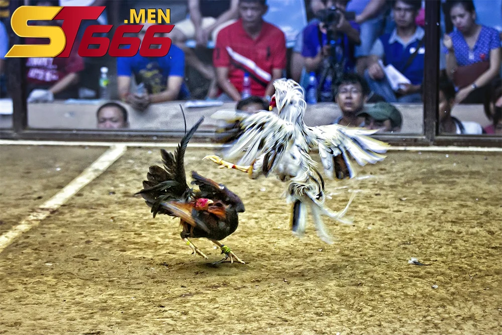 Các quy định rõ ràng và minh bạch